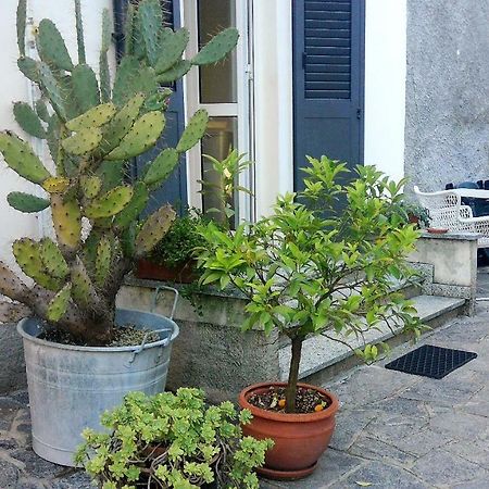 All'Ombra Dei Tassi Mandello del Lario Luaran gambar